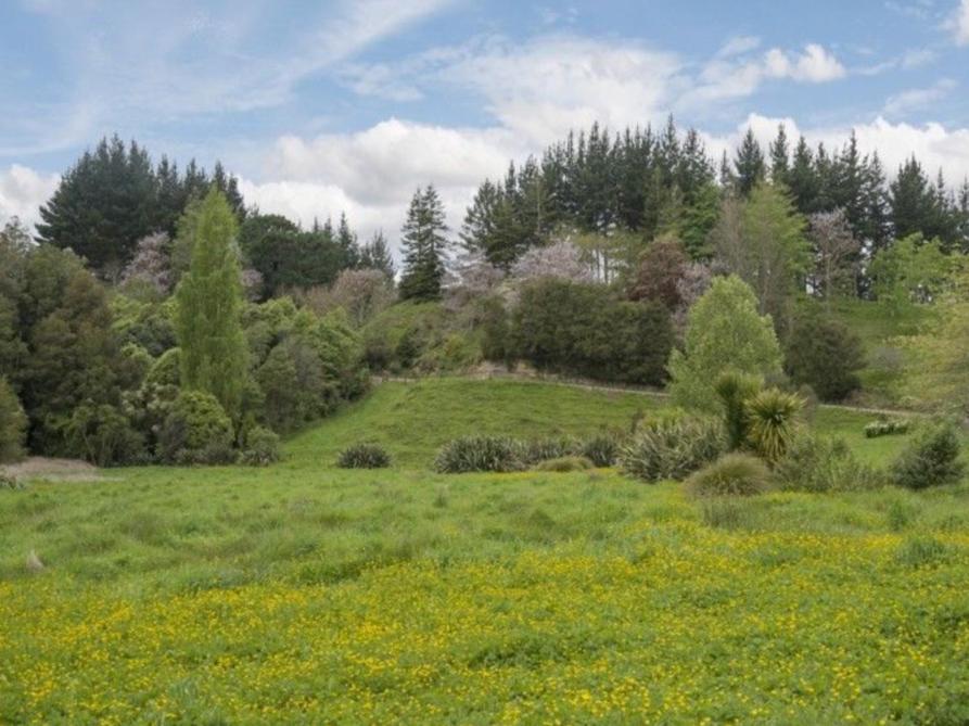 Above The River Karapiro Bed & Breakfast Exterior foto