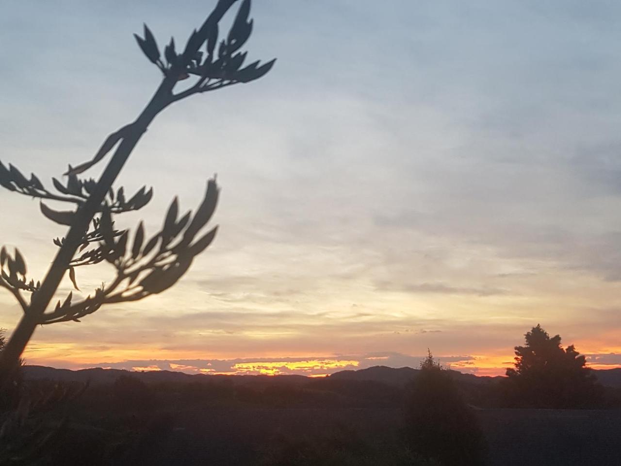 Above The River Karapiro Bed & Breakfast Exterior foto
